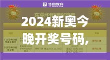 2024新奥今晚开奖号码,快速实施方案评估_多功能版EQP8.12