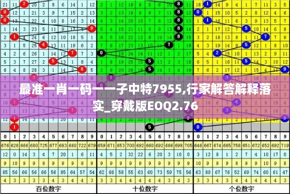 最准一肖一码一一子中特7955,行家解答解释落实_穿戴版EOQ2.76