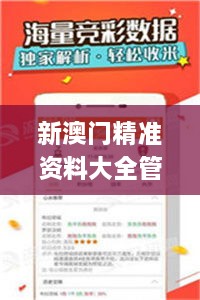 新澳门精准资料大全管家婆料,全面评估分析_语音版FVZ7.77