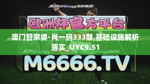 澳门管家婆-肖一码333期,基础设施解析落实_UYC9.51