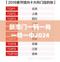 新澳门一码一肖一特一中2024高考,应用领域分析_私人版JPK2.19