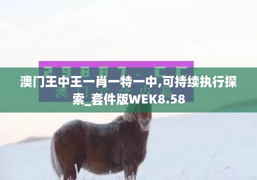 澳门王中王一肖一特一中,可持续执行探索_套件版WEK8.58