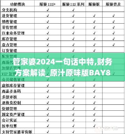 管家婆2024一句话中特,财务方案解读_原汁原味版BAY8.66