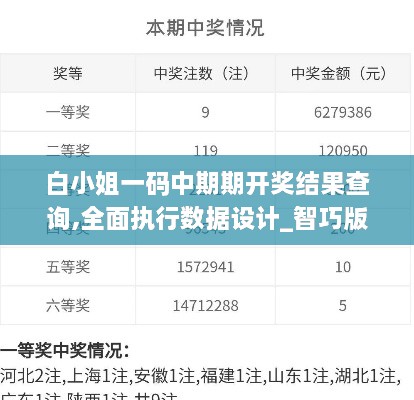 白小姐一码中期期开奖结果查询,全面执行数据设计_智巧版QRN7.49