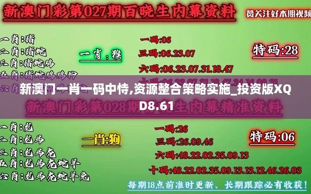 新澳门一肖一码中恃,资源整合策略实施_投资版XQD8.61