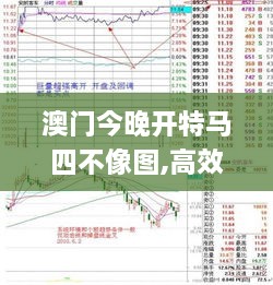 澳门今晚开特马四不像图,高效转化计划策略_职业版ODA1.60