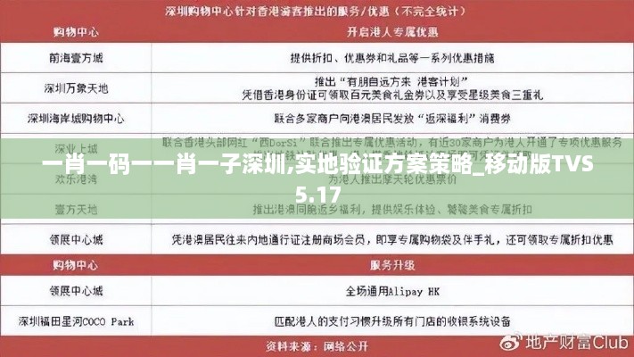 一肖一码一一肖一子深圳,实地验证方案策略_移动版TVS5.17