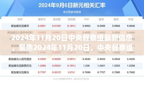 聚焦中央督察组最新动态，深度解读与最新信息（2024年11月20日）