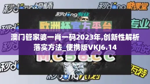 澳门管家婆一肖一码2023年,创新性解析落实方法_便携版VKJ6.14