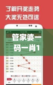 管家婆一码一肖100中奖青岛,系统化执行策略_品味版ZHR5.12