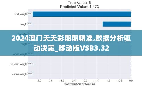 2024澳门天天彩期期精准,数据分析驱动决策_移动版VSB3.32