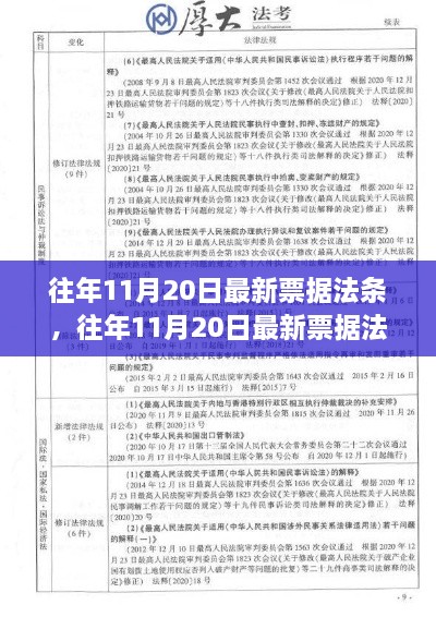 往年11月20日最新票据法条及其解读，某某观点的深入探析