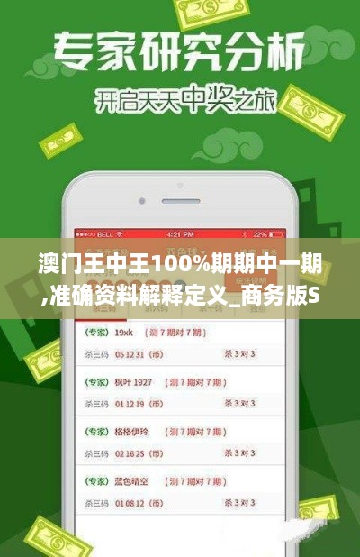 澳门王中王100%期期中一期,准确资料解释定义_商务版SSK7.51