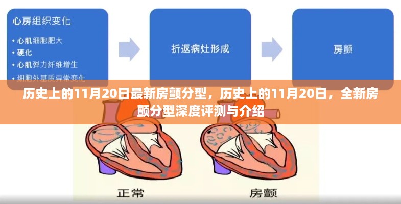 历史上的11月20日最新房颤分型，历史上的11月20日，全新房颤分型深度评测与介绍