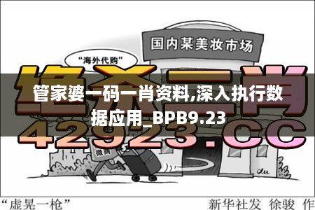 管家婆一码一肖资料,深入执行数据应用_BPB9.23