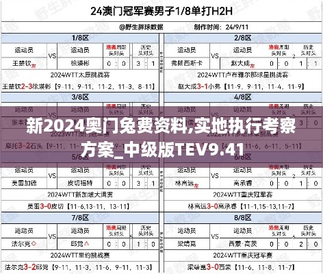 新2024奥门兔费资料,实地执行考察方案_中级版TEV9.41