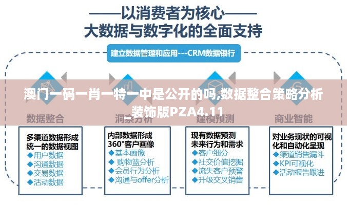 澳门一码一肖一特一中是公开的吗,数据整合策略分析_装饰版PZA4.11