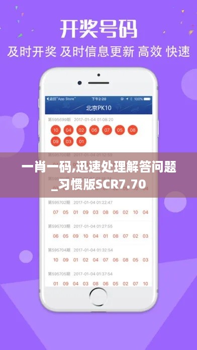 一肖一码,迅速处理解答问题_习惯版SCR7.70