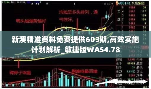 新澳精准资料免费提供603期,高效实施计划解析_敏捷版WAS4.78