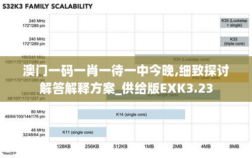 澳门一码一肖一待一中今晚,细致探讨解答解释方案_供给版EXK3.23