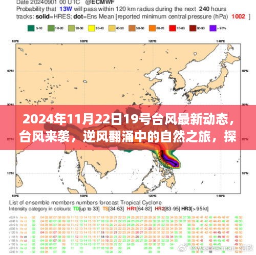 台风来袭，探寻内心宁静港湾——2024年台风最新动态