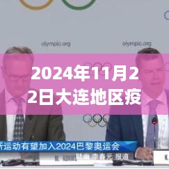 2024年11月22日大连地区疫情最新深度解析与观察评估