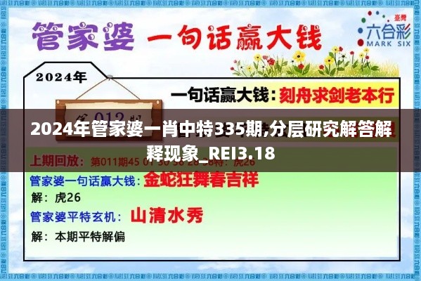 2024年管家婆一肖中特335期,分层研究解答解释现象_REI3.18