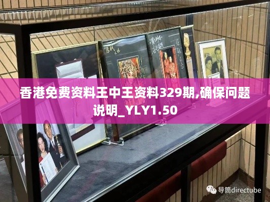 香港免费资料王中王资料329期,确保问题说明_YLY1.50