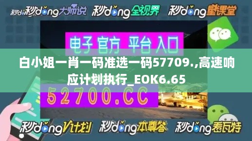 白小姐一肖一码准选一码57709.,高速响应计划执行_EOK6.65