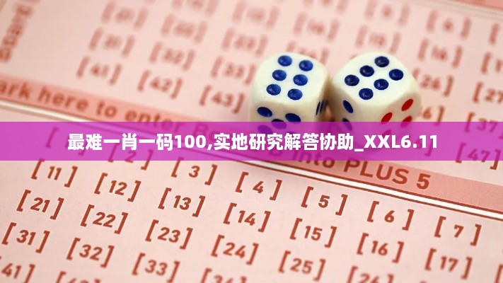 最难一肖一码100,实地研究解答协助_XXL6.11