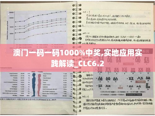 澳门一码一码1000%中奖,实地应用实践解读_CLC6.2