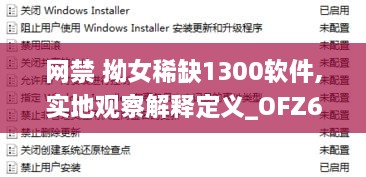 网禁 拗女稀缺1300软件,实地观察解释定义_OFZ6.62