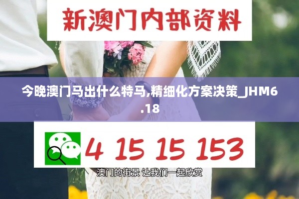 今晚澳门马出什么特马,精细化方案决策_JHM6.18