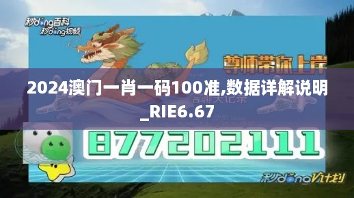 2024澳门一肖一码100准,数据详解说明_RIE6.67