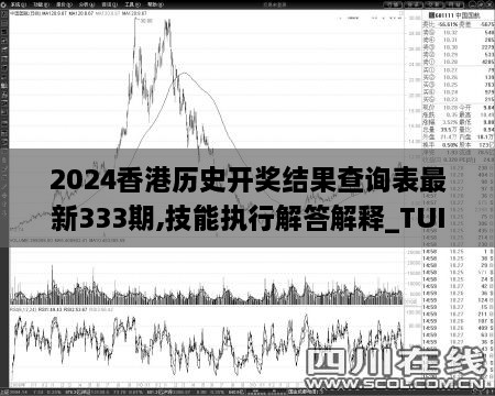 2024香港历史开奖结果查询表最新333期,技能执行解答解释_TUI6.68