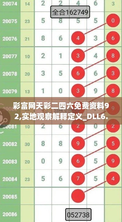 彩富网天彩二四六免费资料92,实地观察解释定义_DLL6.33