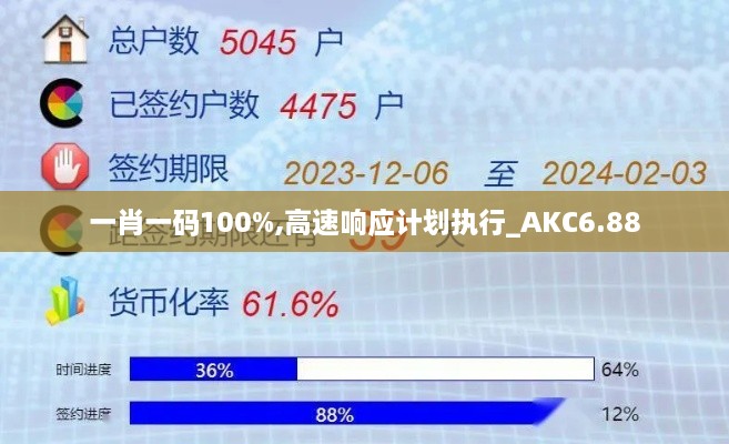 一肖一码100%,高速响应计划执行_AKC6.88