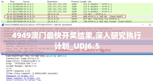 4949澳门最快开奖结果,深入研究执行计划_UDJ6.5