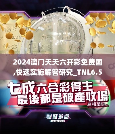 2024澳门天天六开彩免费图,快速实施解答研究_TNL6.56