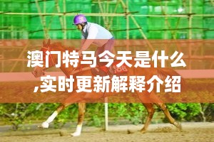 澳门特马今天是什么,实时更新解释介绍_XIY6.36