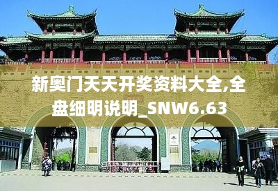 新奥门天天开奖资料大全,全盘细明说明_SNW6.63