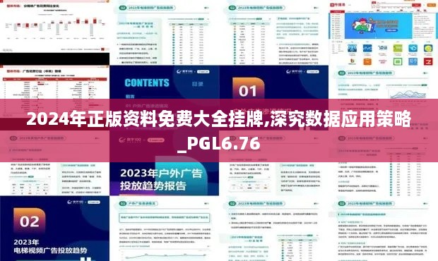 2024年正版资料免费大全挂牌,深究数据应用策略_PGL6.76