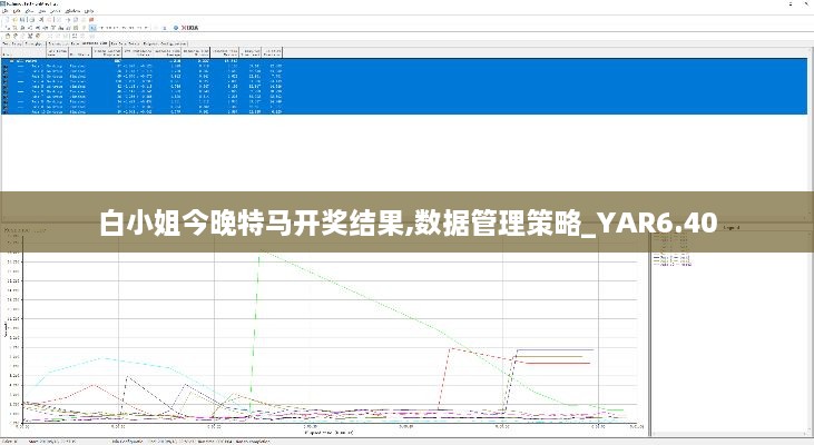 白小姐今晚特马开奖结果,数据管理策略_YAR6.40