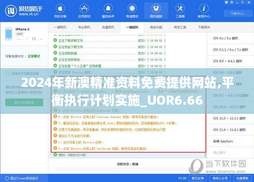 2024年新澳精准资料免费提供网站,平衡执行计划实施_UOR6.66