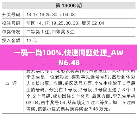 一码一肖100%,快速问题处理_AWN6.48