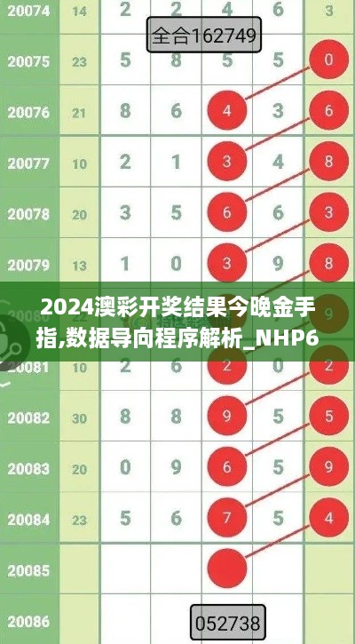 2024澳彩开奖结果今晚金手指,数据导向程序解析_NHP6.55