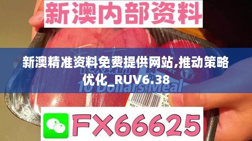 新澳精准资料免费提供网站,推动策略优化_RUV6.38