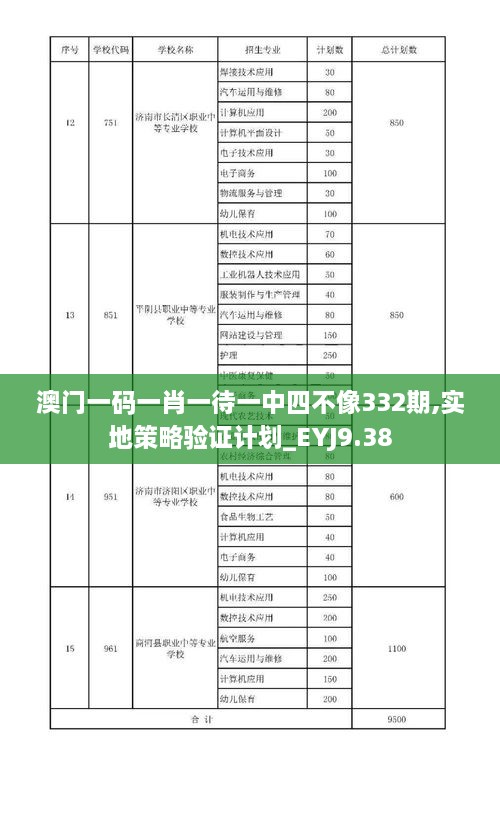 澳门一码一肖一待一中四不像332期,实地策略验证计划_EYJ9.38