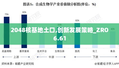2048核基地土口,创新发展策略_ZRO6.61