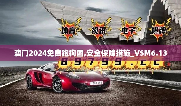 澳门2024免费跑狗图,安全保障措施_VSM6.13